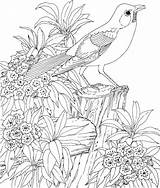 Nature Coloring Pages Adults Getcolorings Printable Color sketch template
