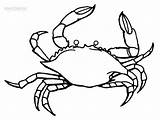 Crab Coloring Pages Blue Print Sebastian Flounder Printable Drawing Outline Dibujo Colorear Para King Cool2bkids Kids Color Krabs Getcolorings Getdrawings sketch template