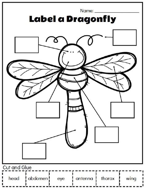 insect unit study   fun printable worksheets  games
