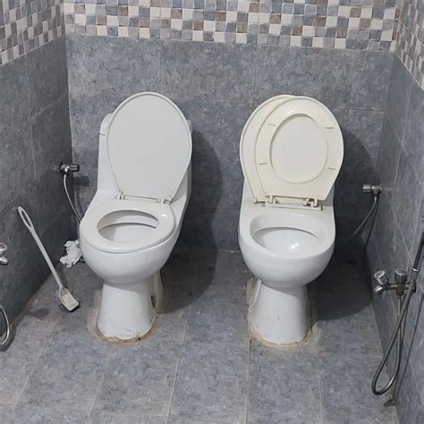 Revolutionizing Restrooms Lahore S Double Toilet Design Goes Viral