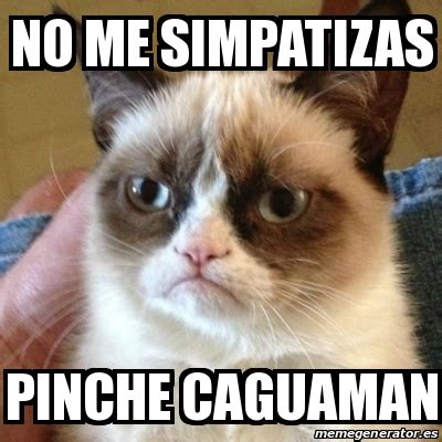 meme grumpy cat   simpatizas pinche caguaman