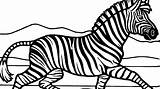 Zebra Printable sketch template