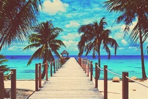 beach dock dreamy ocean palm trees pretty relaxing sand image