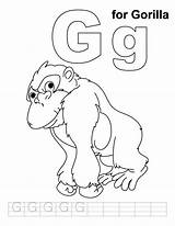 Gorilla Coloring Pages Letter Phonics Kids Handwriting Practice Preschool Sheet Craft Zoo Gordo Animal Color Animals Colouring Sheets Clipart Alphabet sketch template