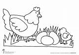 Gallina Para Colorear Coloring Pollitos Gallinas Dibujos Site Coloringpages Dibujo Chicken Pollo Animals Pages Niños Artículo Deberes Es sketch template