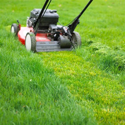 common mistakes    making  youre mowing  yard