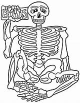 Skeleton Coloring Pages Kids Human Bones Body Halloween Dinosaur Drawing Printable Anatomy Skeletons Fossil Color Print Wolf Axial Sheets Books sketch template