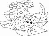 Joaninha Floresta Desenho Coccinelle Fofos Tudodesenhos Coccinella sketch template