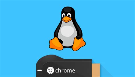 smplayer  features experimental support  chromecast omg ubuntu