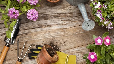 The Best Gardening Tool Sets On Amazon Sheknows