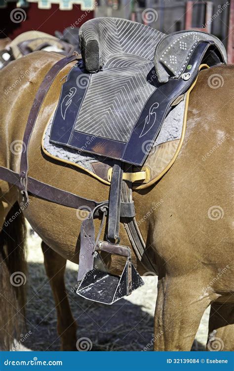 zadel op paard stock foto image  geisoleerd riem