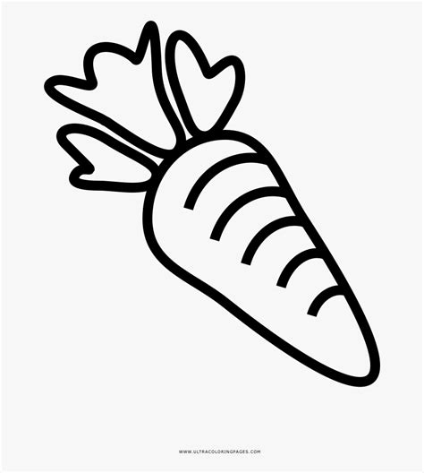 carrot coloring page carrot drawing png transparent png kindpng