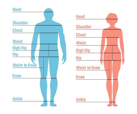 body measurement chart printable  men women