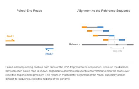 paired   single read sequencing technology