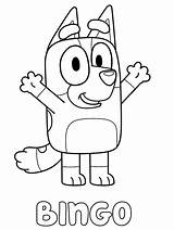 Bingo Bluey Coloring Pages Colouring Heeler Printable Kids sketch template