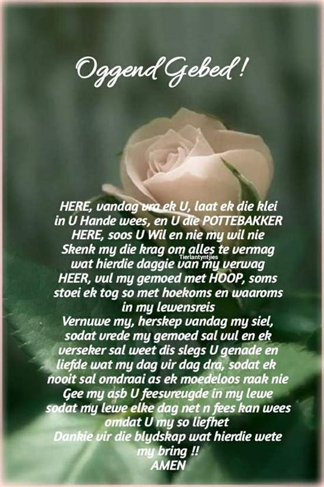 oggend gebed afrikaanse quotes afrikaans quotes good morning quotes