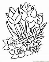 Spring Coloring Pages Flower sketch template