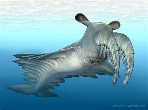 meet  frankenprawn  ancient deep sea monster