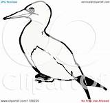 Gannet Bird Coloring Illustration Royalty Lineartestpilot Clipart Cartoon Vector 33kb 1024px 1080 Clipground sketch template