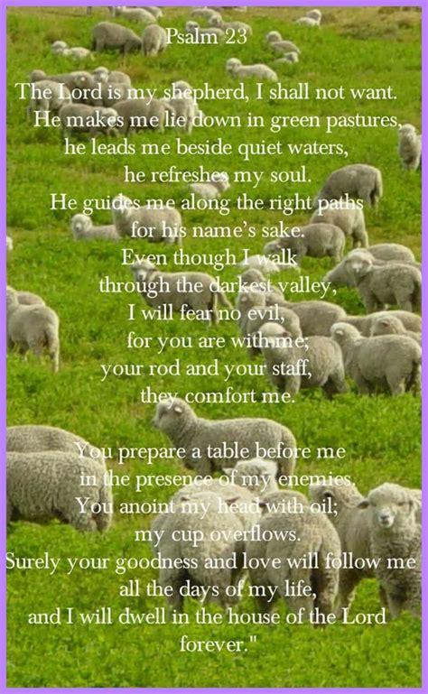 pin by 💎priscilla camacho on sheep we are and the lord