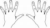 Hand Library Clipart Cliparts Clip sketch template