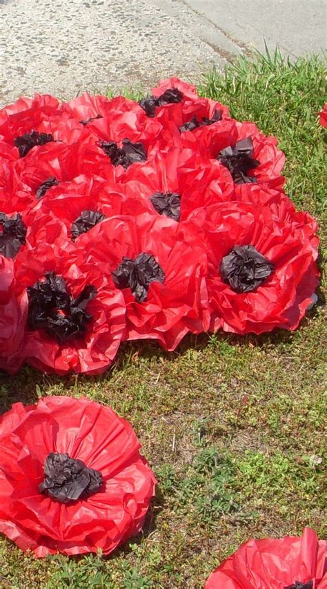 tissue paper poppies  steps  pictures