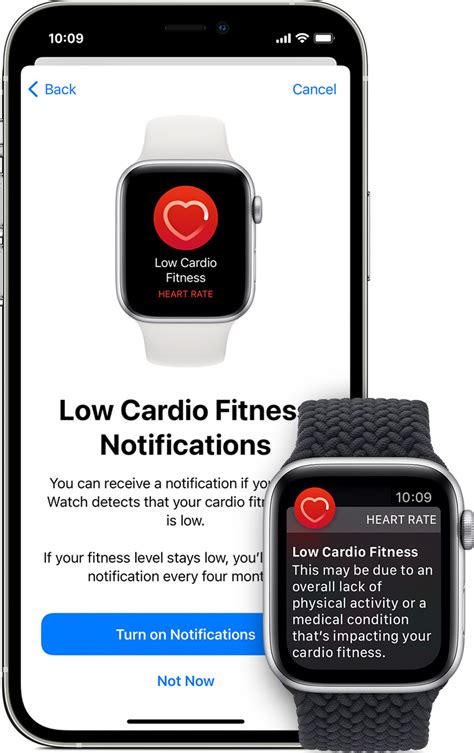 Set Up Cardio Fitness Levels Apple Support