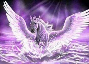 purple pegasus cavalo wallpaper unicornios wallpaper horse wallpaper