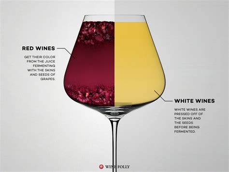 red wine  white wine  real differences wine folly