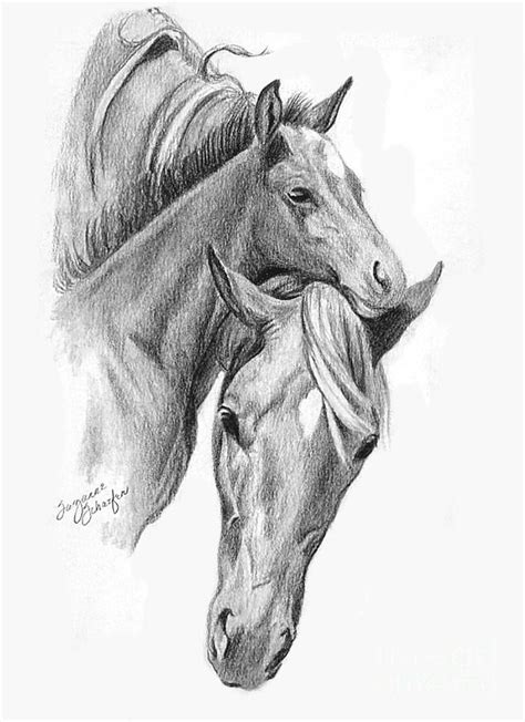 realistic mom  baby horse coloring pages thekidsworksheet