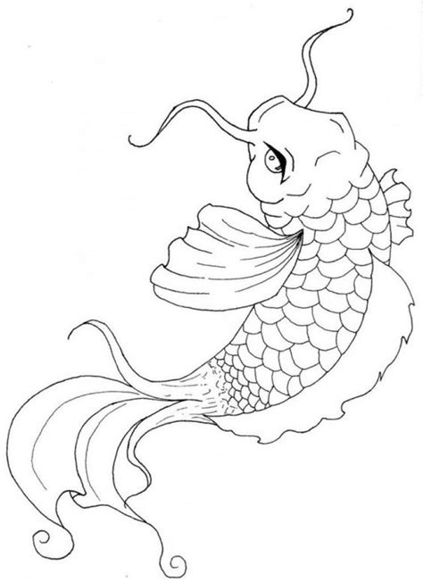 japanese koi funny  coloring pages  pinterest  koi fish