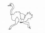 Coloring Ostrich Library Clipart Line Popular sketch template