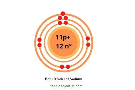 sodium bohr model diagram steps  draw techiescientist