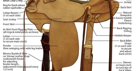 diagram  western saddle parts horse stuff pinterest westerns saddles  western saddles