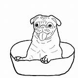 Boxer Coloring Pages Dog Sitting Bowl Puppy Drawing Down Print Color Printable Getcolorings Getdrawings Search Tocolor sketch template