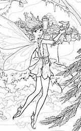 Fairies Colouring Pixies Feen Faries sketch template