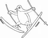 Pinguini Planse Colorat Skis Penguins Supercoloring sketch template