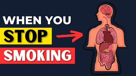 what happens to your body when you stop smoking youtube