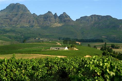 cape winelands southern africa development community    travel