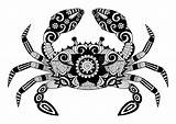 Crab Zentangle Cangrejo Bonny Ornated Signos Krebs Zodiaco Tattooimages sketch template