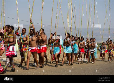 zulu doncellas entregar reed palos al rey zulú de baile en palacio