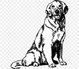 Retriever Puppy Labrador Cachorro Fennec Retriver Kleurplaat Bestcoloringpagesforkids Dogs Clipartmag Retrever  sketch template