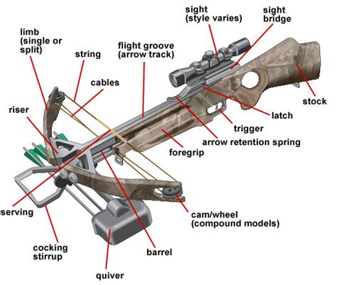 pistole gefrierschrank schutz crossbow release mechanism konflikt duftend tasche
