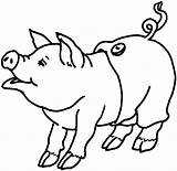 Pig Coloring Pages Printable Kids sketch template