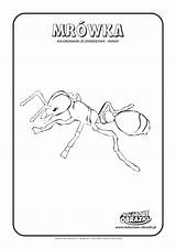 Kolorowanki Owady Mrówka Kolorowanka Zwierzęta Kolorowe Mrowka Owadami sketch template