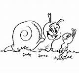 Snail Coloring Ant Coloringcrew sketch template