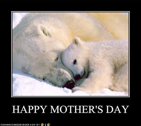 funny   mothers day funny