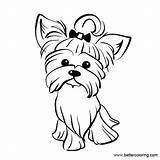 Yorkie Coloring Pages Dog Drawing Printable Line Terrier Kids Adults Poo Paintingvalley Explore Template Drawings Clipartmag sketch template