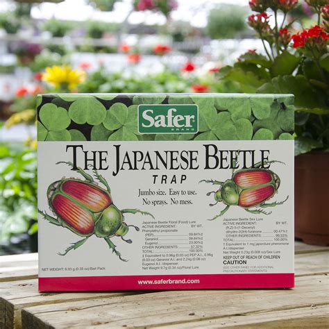 surviving the invasion top 3 products for japanese beetle control