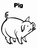 Pig Coloring Pages Kids Printable Colouring Pigs Roast Customizable Royalty Clipart sketch template